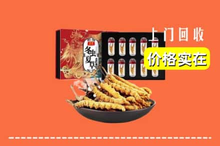 坡头区回收冬虫夏草